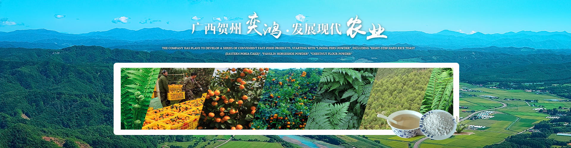 廣西賀州市奕鴻農(nóng)業(yè)開發(fā)有限責(zé)任公司